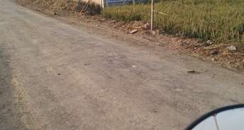Commercial Land 10000 Sq.Yd. For Resale In Sikandrabad Greater Noida 6741485