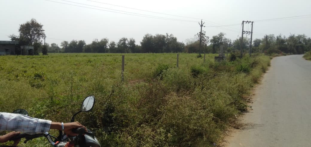  Plot For Resale in Thaltej Ahmedabad 6741890