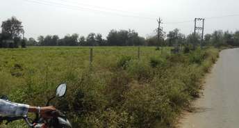 Commercial Land 4200 Sq.Yd. For Resale In Sindhubhavan Ahmedabad 6741902