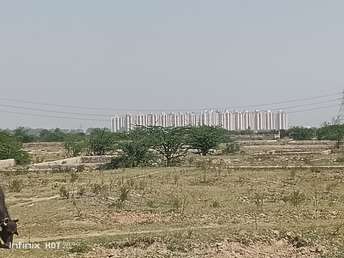  Plot For Resale in Sector 134a Faridabad 6741928