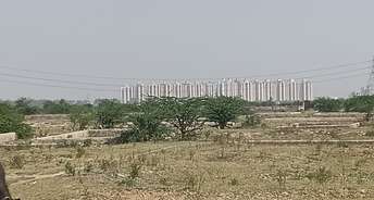  Plot For Resale in Sector 134a Faridabad 6741928
