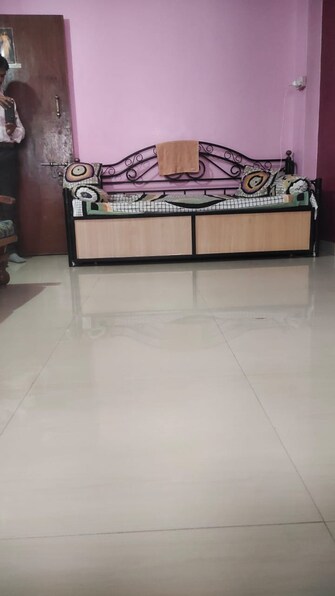 1 BHK Apartment For Rent in Pearl Residency Nigdi Nigdi Pune  6742247