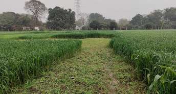  Plot For Rent in Gn Sector pi Greater Noida 6661204