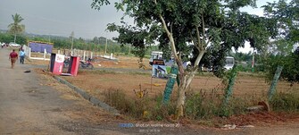 Plot For Resale in Annasandrapalya Extension Bangalore  6743071