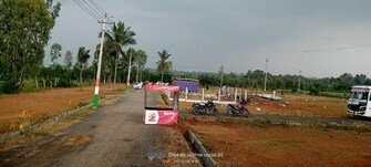 Plot For Resale in Annasandrapalya Extension Bangalore  6743071