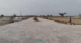  Plot For Resale in Sangareddy Hyderabad 6743318
