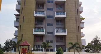 2 BHK Apartment For Rent in Kamdhenu 7th Heaven Dhanori Pune 6743343