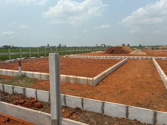 Plot For Resale in Kankipadu Vijayawada  6743636