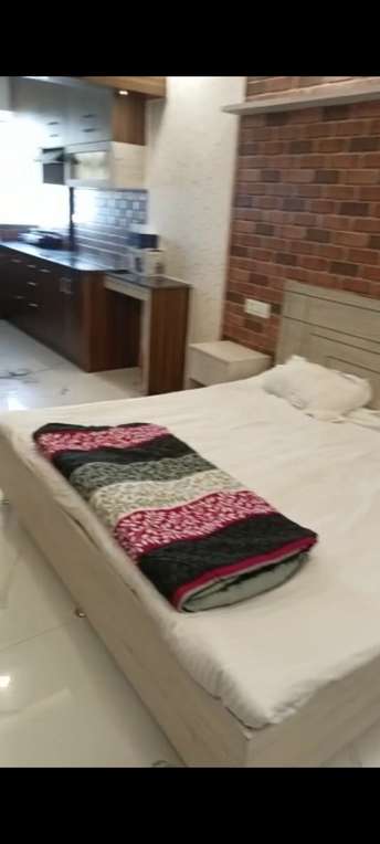 1 RK Apartment For Rent in DLF Capital Greens Phase 3 Moti Nagar Delhi 6743683