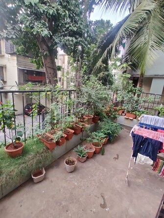 4 BHK Independent House For Resale in Chembur Mumbai  6743908