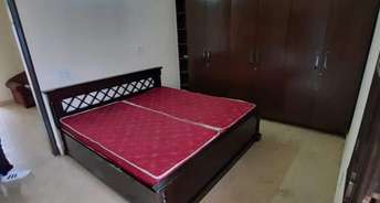 1 BHK Builder Floor For Rent in Shivalik Apartments Malviya Nagar Malviya Nagar Delhi 6743932