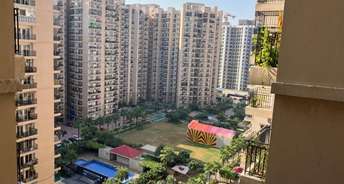 3 BHK Apartment For Rent in Nirala Estate Noida Ext Tech Zone 4 Greater Noida 6744020