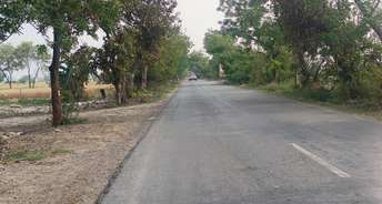  Plot For Resale in Digh Village Faridabad 6744117