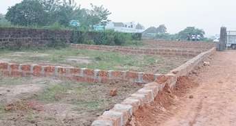  Plot For Resale in Pathargadia Bhubaneswar 6744140