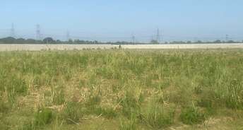 Commercial Industrial Plot 200000 Sq.Ft. For Rent In Hapur Road Ghaziabad 6744122