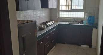 2 BHK Apartment For Rent in SRS Residency Sector 88 Faridabad 6744344