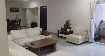 4 BHK Apartment For Rent in Sobha Carnation Pune Kondhwa Pune 6744430