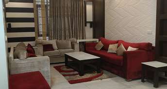 3 BHK Apartment For Rent in Raman Vihar Apartment Sector 11 Dwarka Delhi 6744477