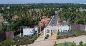  Plot For Resale in Century Sports Village Devanahalli Bangalore 6744513