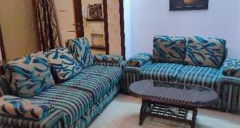 3 BHK Builder Floor For Rent in Divyansh Homes Indrapuram Ghaziabad 6744950