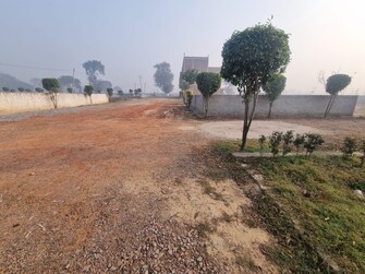 Plot For Resale in Knowledge Park V Greater Noida Greater Noida  6745462