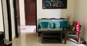 2.5 BHK Apartment For Rent in Galaxy Royale Gaur City 2  Greater Noida 6745474