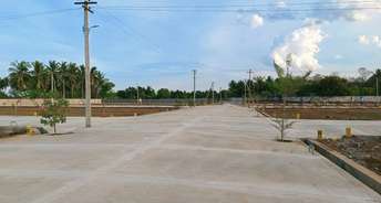  Plot For Resale in Madurai Road Trichy 6745561