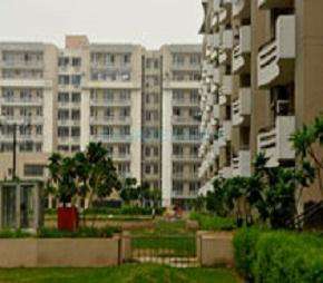 4 BHK Apartment For Resale in SVP Gulmohar Greens Phase II Gt Road Ghaziabad 6745711