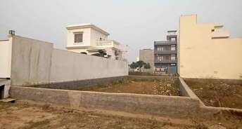  Plot For Resale in Om Sai Enclave Greater Noida Roza Jalalpur Greater Noida 6746084