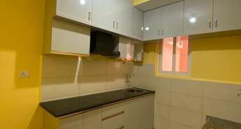 2 BHK Apartment For Rent in Urbanrise Spring Is In The Air Ameenpur Hyderabad 6746384