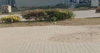 Commercial Land 102 Sq.Yd. For Resale In Sector 110 Mohali 6746605