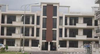 3 BHK Builder Floor For Resale in Sector 59 Mohali 6746735