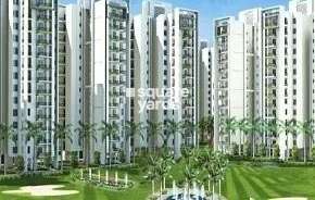 3 BHK Apartment For Rent in Motia Heights Lohgarh Zirakpur 6747339