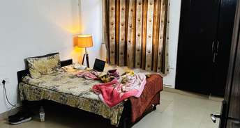 3.5 BHK Apartment For Rent in Amrapali Silicon City Sector 76 Noida 6747490