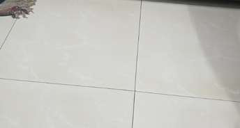 2 BHK Builder Floor For Rent in Gn Sector Delta I Greater Noida 6747847