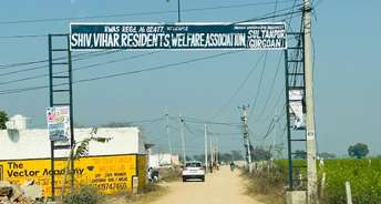  Plot For Resale in Sultanpur Gurgaon 6748008