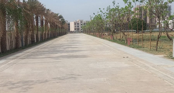  Plot For Resale in Woodview Residences Sector 89 Gurgaon 6748100