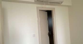 3 BHK Apartment For Rent in Bestech Park View Grand Spa Sector 81 Gurgaon 6748246