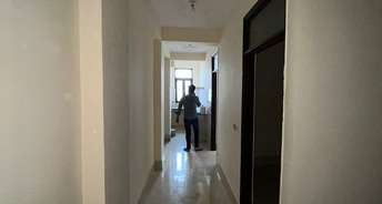 2.5 BHK Builder Floor For Rent in Mayur Vihar Phase 1 Delhi 6748329