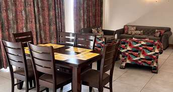 2 BHK Apartment For Rent in Jaypee Greens Star Court Jaypee Greens Greater Noida 6748763