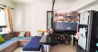 1 BHK Apartment For Resale in Lodha Crown Quality Homes Majiwada Thane 6749106