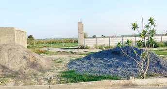  Plot For Resale in Gn Sector 27 Greater Noida 6749270