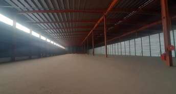 Commercial Warehouse 60000 Sq.Ft. For Rent In Sikandrabad Greater Noida 6749642