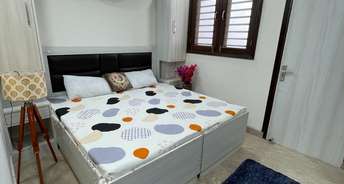 1 RK Builder Floor For Rent in Ansal Sushant Apartments Sushant Lok Gurgaon 6750410