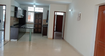 3 BHK Apartment For Rent in Parsvnath Green Ville Dhani Hasanpur Village Gurgaon 6750653