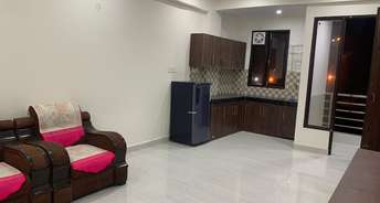 1 BHK Apartment For Rent in Ambience Mall Sector 24 Gurgaon 6750689