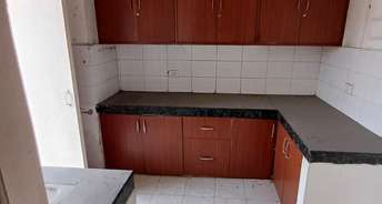 3 BHK Apartment For Rent in Shiv Sai Ozone Park Sector 86 Faridabad 6750751