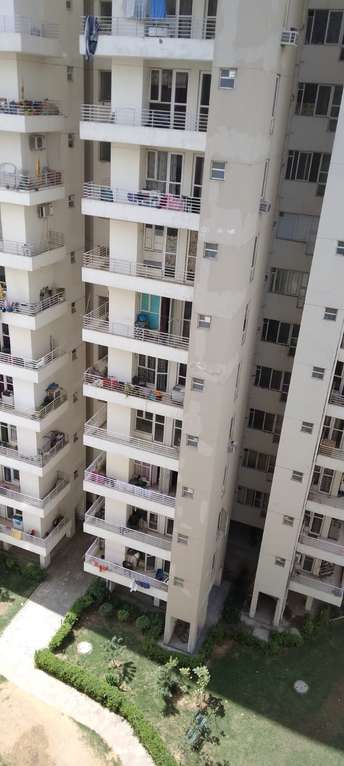 1 BHK Apartment For Rent in Kshitij Ramsons Sector 95 Gurgaon 6750831