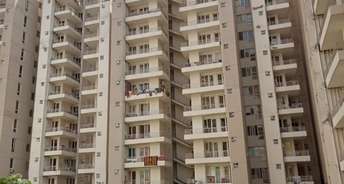 2.5 BHK Apartment For Rent in Kshitij Ramsons Sector 95 Gurgaon 6750860