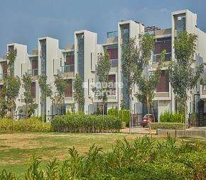 3 BHK Apartment For Rent in RBD Stillwaters Harlur Bangalore  6751055